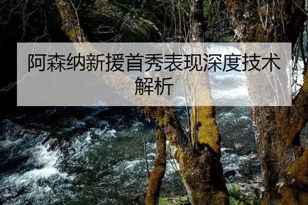 阿森纳新援首秀表现深度技术解析