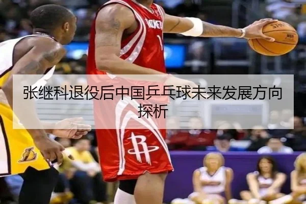 张继科退役后中国乒乓球未来发展方向探析